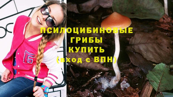 кристаллы Алексин