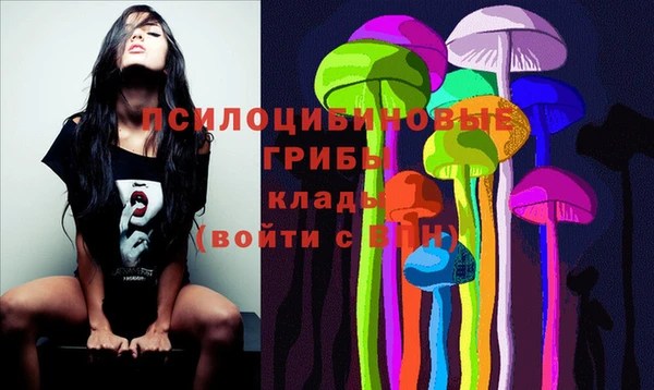 сатива Алексеевка