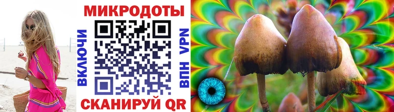 мега как войти  Арамиль  Галлюциногенные грибы мухоморы 